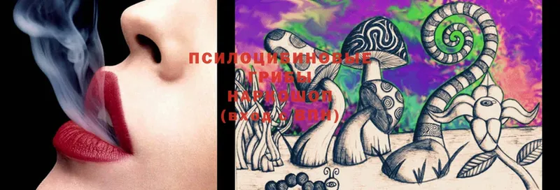 Псилоцибиновые грибы MAGIC MUSHROOMS  Новосиль 